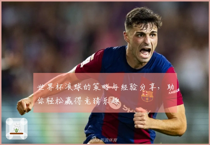 世界杯滚球的策略与经验分享，助你轻松赢得竞猜乐趣