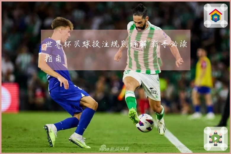 世界杯买球投注规则详解 新手必读指南