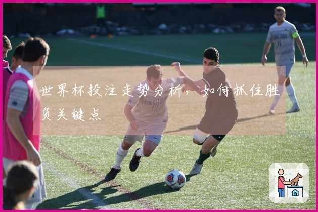 世界杯投注走势分析，如何抓住胜负关键点