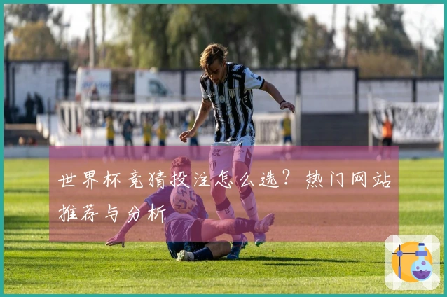 世界杯竞猜投注怎么选？热门网站推荐与分析
