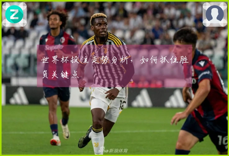 世界杯投注走势分析，如何抓住胜负关键点