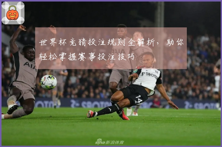 世界杯竞猜投注规则全解析，助你轻松掌握赛事投注技巧