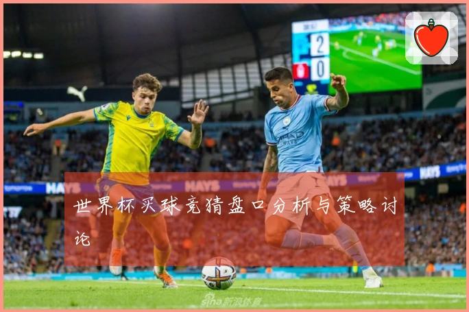 世界杯买球竞猜盘口分析与策略讨论